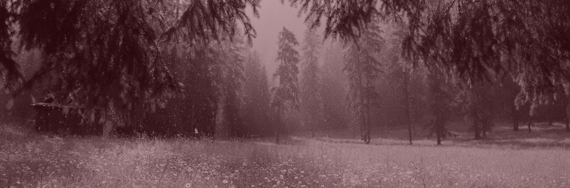 header1-bordeau