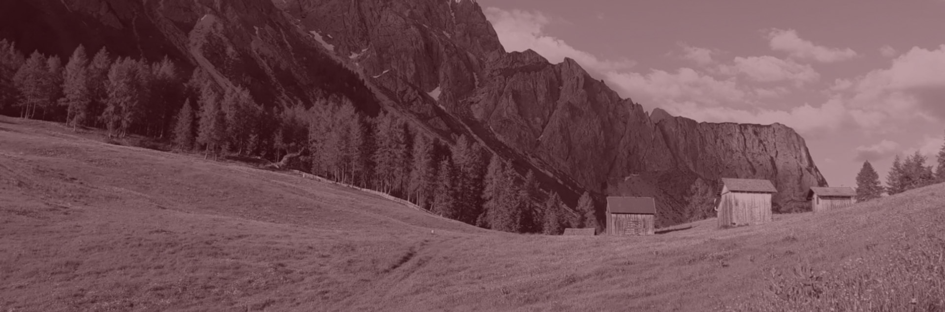 header2-bordeau
