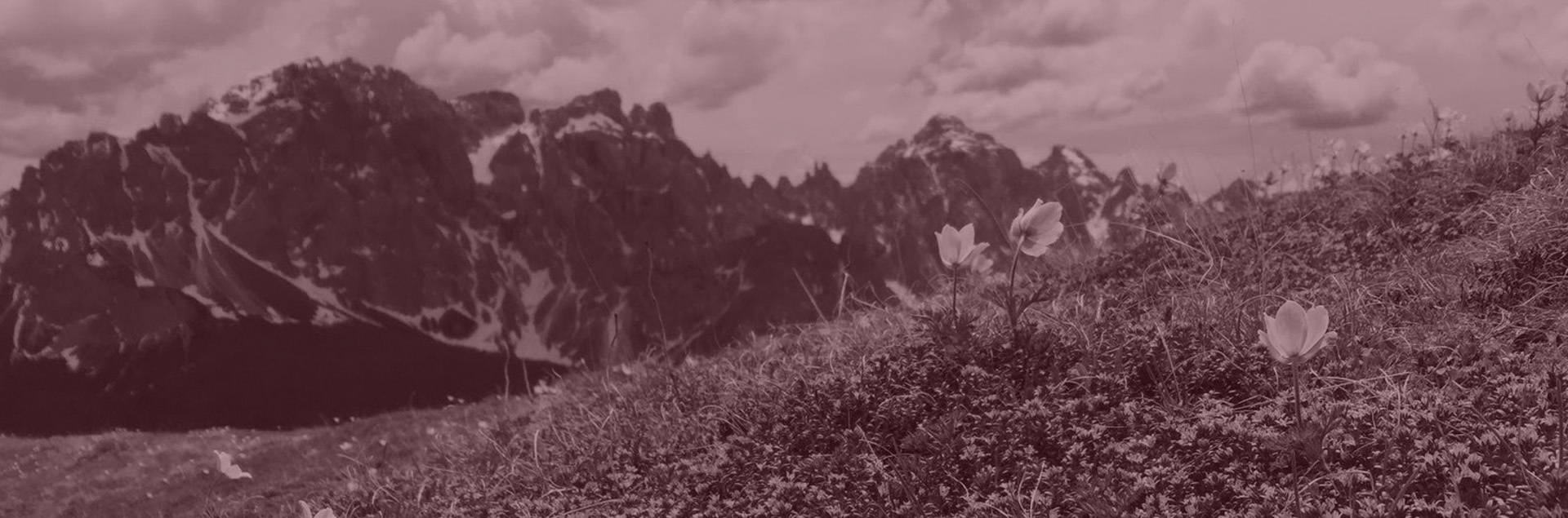 header3-bordeau